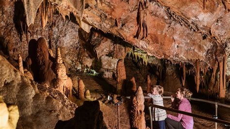 Buchan Caves Guided Tours, Tour, Gippsland, Victoria, Australia