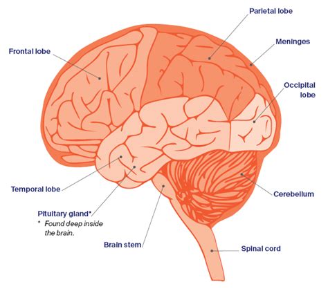 Tumor Symptoms