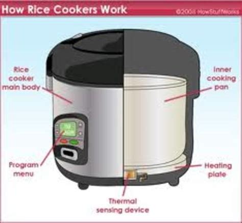 Rice Cooker timeline | Timetoast timelines