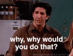 Why GIF - Why Friends Ross Geller - Discover & Share GIFs