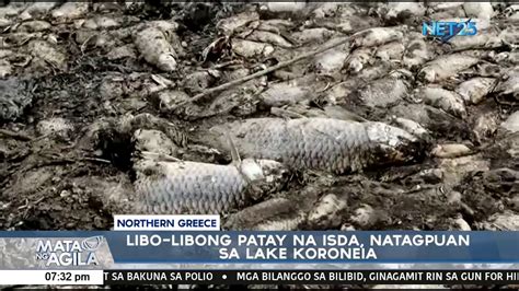 Patay Na Isda