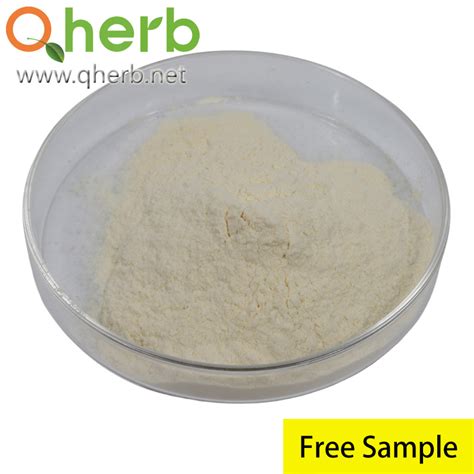 Food Grade Sanqi Three-Seven Notoginsenoside Rg1 50% HPLC Notoginseng P. E with Free Sample ...