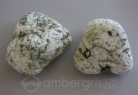 How to identify ambergris, ambergris shape, colour, size and smell ...