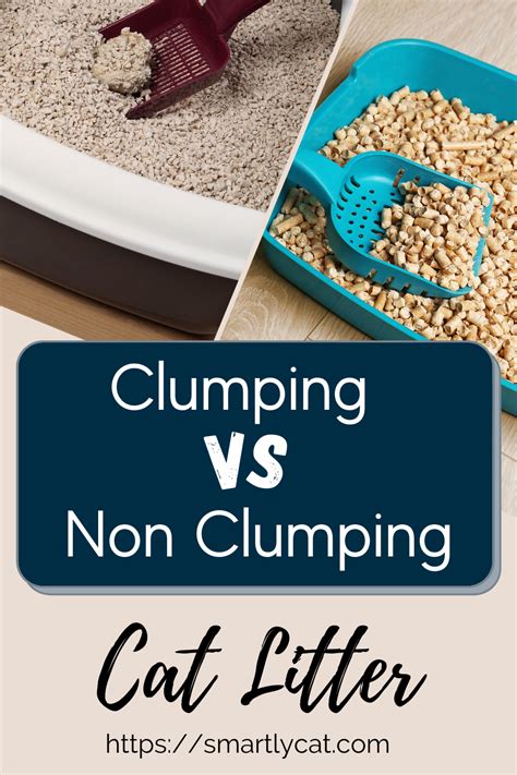 Clumping Vs Non Clumping Cat Litter | Clumping cat litter, Non clumping cat litter, Cat litter