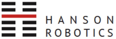 Hanson Robotics Ltd.