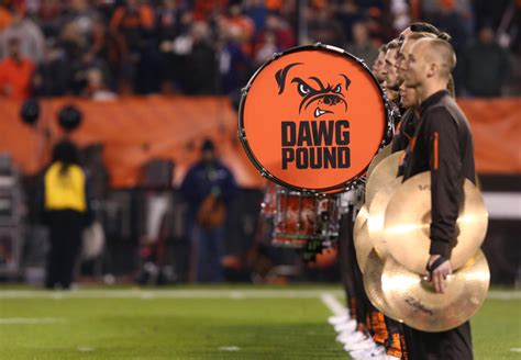 Cleveland Browns unveil incredibly detailed dog logo, as voted by fanbase