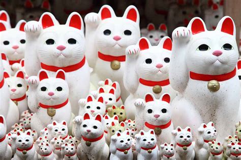 5 Interesting Facts About Maneki Neko | Fortune Cats or Lucky Cats