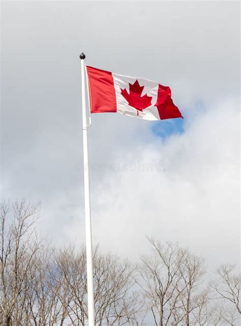 Red and White Canadian Flag Stock Image - Image of white, travel: 178823253