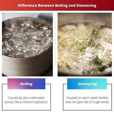 Boiling vs Simmering: Difference and Comparison