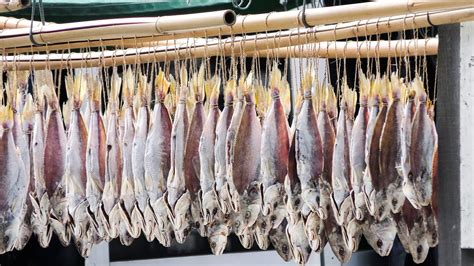 Hong Kong Food. The Dried Salty Fish of Tai O Village, Lantau - YouTube