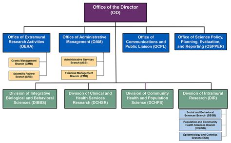 Nih Organizational Chart