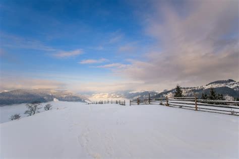 Premium Photo | Carpathian winter mountains