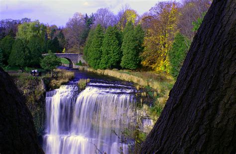 Webster's Falls Photograph by John Turner - Fine Art America