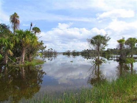 Orlando Wetlands Park (Florida, United States): Address, Phone Number, Nature & Wildlife Area ...