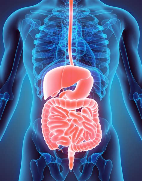 Gastrointestinal Cancer - West Cancer Center