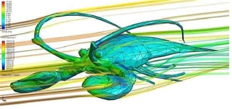 Aerodynamics of a Lobster : r/notinteresting