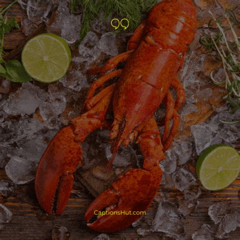 150+ Lobster Instagram Captions With Emoji, Copy-Paste