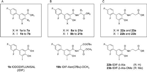 Synthesis of diflunisal and iododiflunisal analogs. A) Modifying... | Download Scientific Diagram