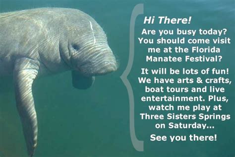 Florida Manatee Festival - Crystal River, FL : 32nd Annual Florida ...