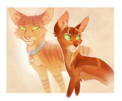 Firestar and Jake by Finchwing on DeviantArt