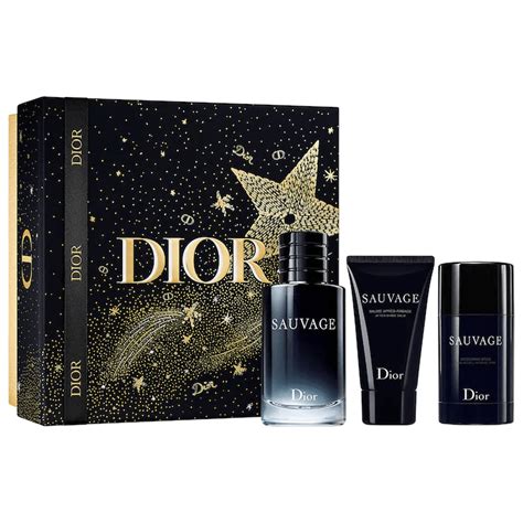 Dior Holiday Makeup＆Fragrance Gift Sets 2020 - Review and Swatches ...