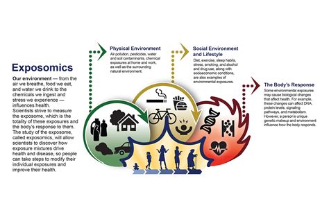 Environmental Factor - October 2023: NIH to fund exposome research ...