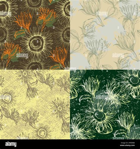 Seamless pattern with yellow flowers. Sunflower line arts luxury ...