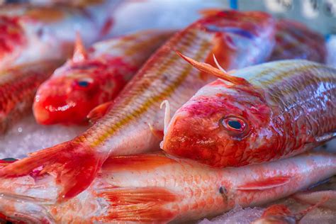 A tu per tu con la triglia: proprietà e benefici del "pesce rosso"