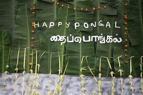 Thai Pongal Celebration 2023 - Sanasa CampusSanasa Campus