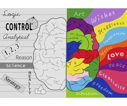 Characteristics of Left Brained People (with Pictures) | eHow