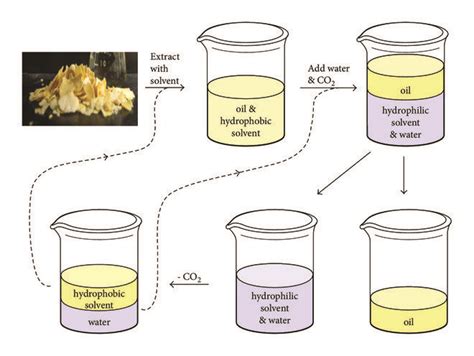 The process of SHSs used for soybean oil extraction from soybean flakes... | Download Scientific ...