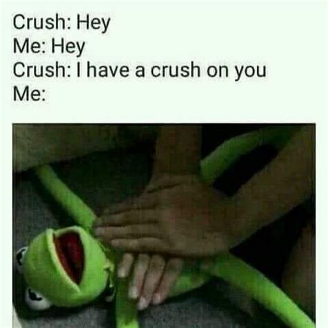 Crush meme : r/funny