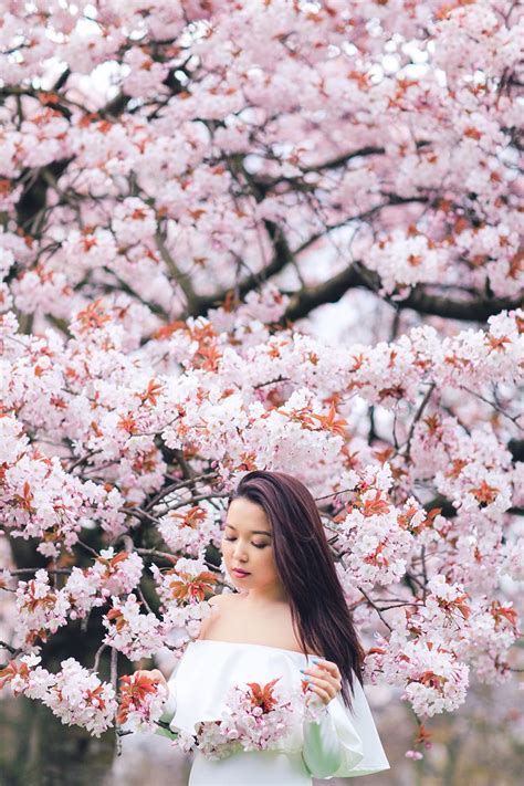 Miss Sakura: Spring Fashion photoshoot in Regent’s park, London | Spring photoshoot, Cherry ...