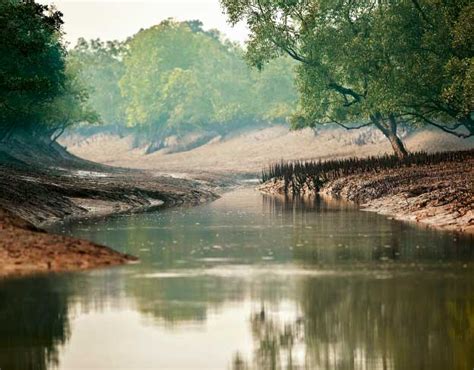 Sundarbans-tiger-reserve-India | Beyond Magazine