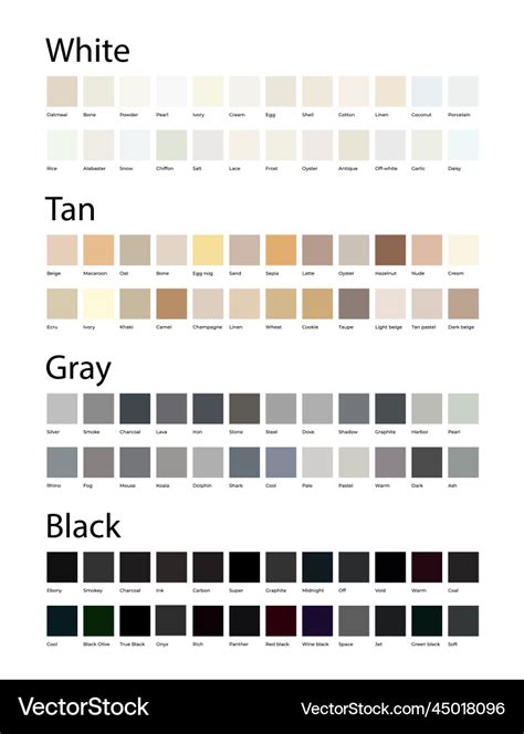 White tan gray and black colors shades swatches Vector Image