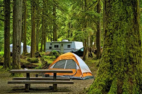 35 Best Smoky Mountain National Park Campgrounds & RV Parks