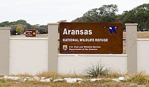 Aransas National Wildlife Refuge Facts for Kids