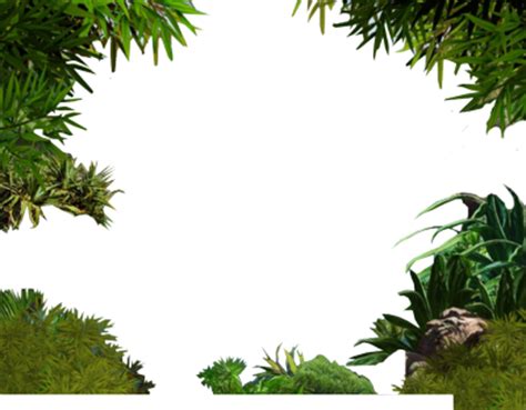 Jungle border png, Jungle border png Transparent FREE for download on ...