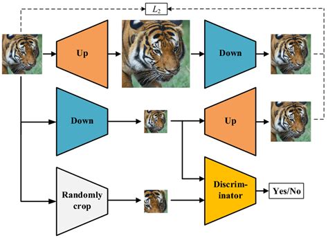 An overview of the proposed Cycle-SRGAN architecture. The up-sampler... | Download Scientific ...