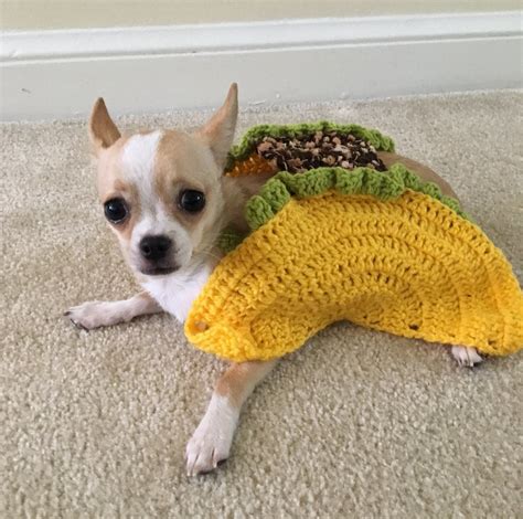 Taco Pet Costume Taco Cat Costume Taco Costume for Dogs