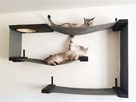 Helping You To Choose The Very Best Cat Tree With Hammock