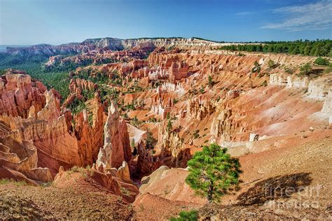 Bryce canyon sunrise point Photograph by Delphimages Photo Creations ...