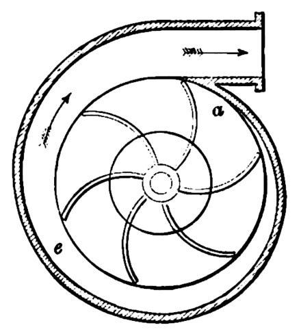 volute - Wiktionary, the free dictionary