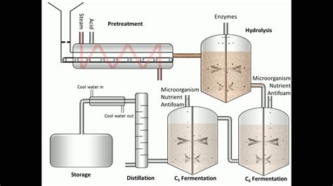 Process of Fermentation - YouTube