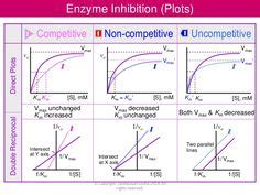 competitive vs noncompetitive inhibition km vmax - Google Search | MolecularBio & Biochemistry ...