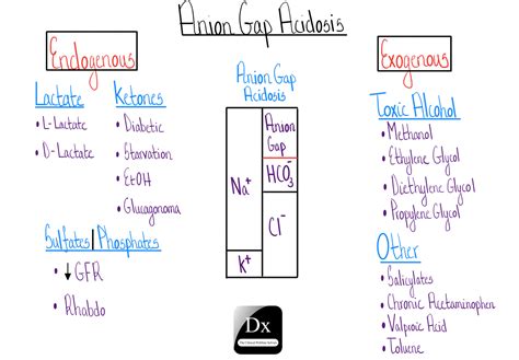 Dx Schema – Anion gap metabolic acidosis – The Clinical Problem Solvers | Anion gap, Acidosis ...