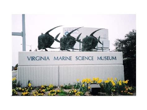 Virginia Marine Science Museum - Virginia Beach, VA Things To Do, Old Things, Virginia Beach Va ...