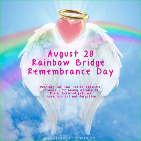 Rainbow Bridge Remembrance Day August 28th-CatTipper