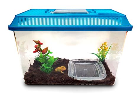 Pet Frog Habitat - AMPHIPEDIA