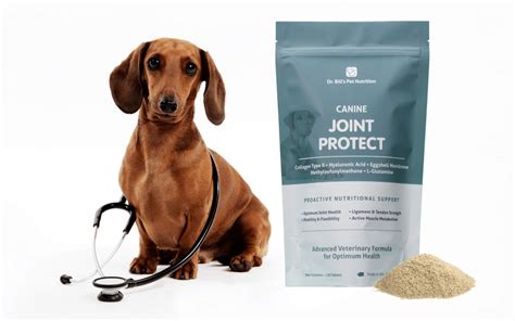 How to Protect Your Dog From Joint Pain | Dr. Bill's Pet Nutrition